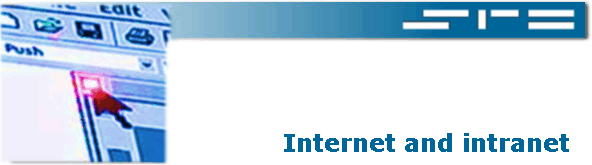 Internet and intranet